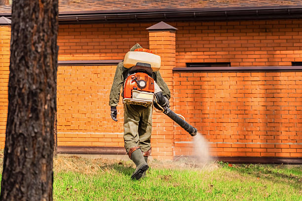 Bed Bug Clearance Verification and Documentation in Elm Springs